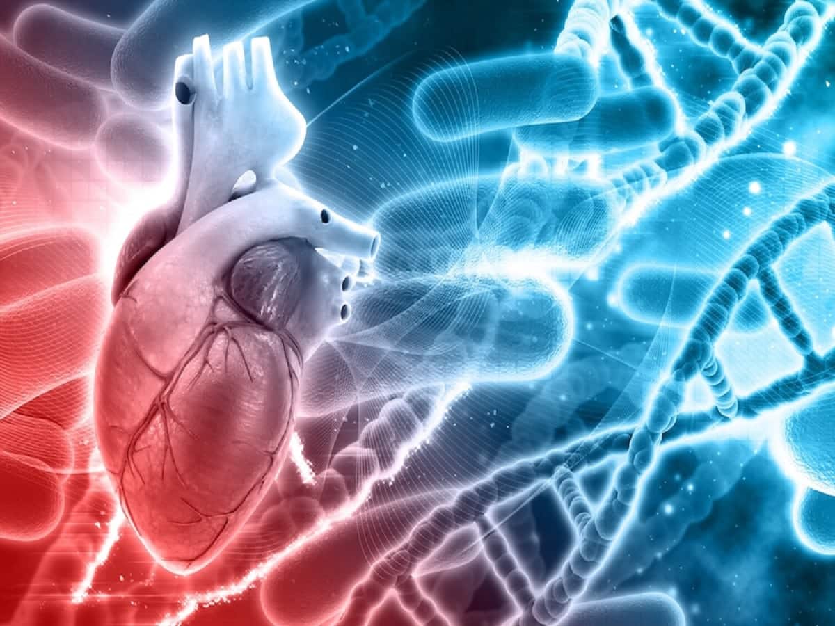 Regenerative Medicine for Heart Diseases: All You Need To Know